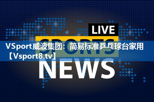 简易标准乒乓球台家用