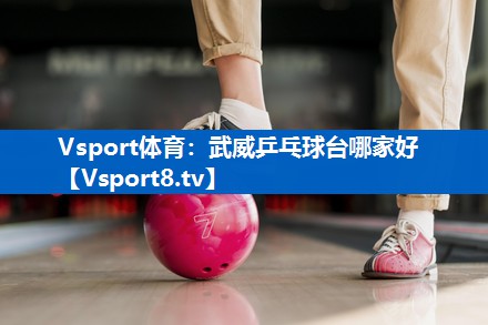 武威乒乓球台哪家好
