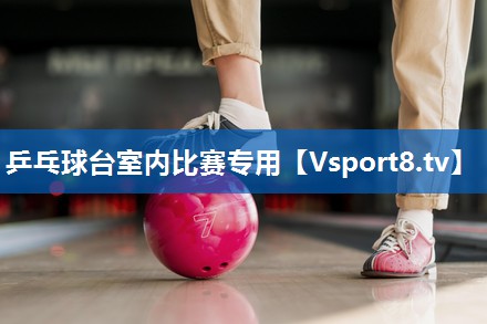 乒乓球台室内比赛专用