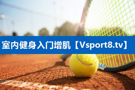 室内健身入门增肌