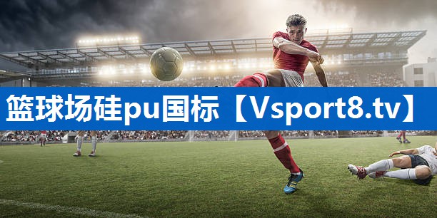 篮球场硅pu国标
