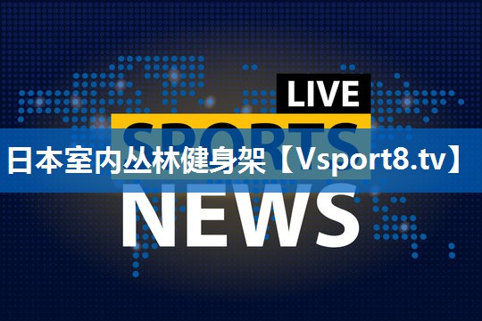 日本室内丛林健身架