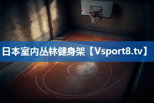 日本室内丛林健身架